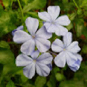 Meet your Posher, Bryce